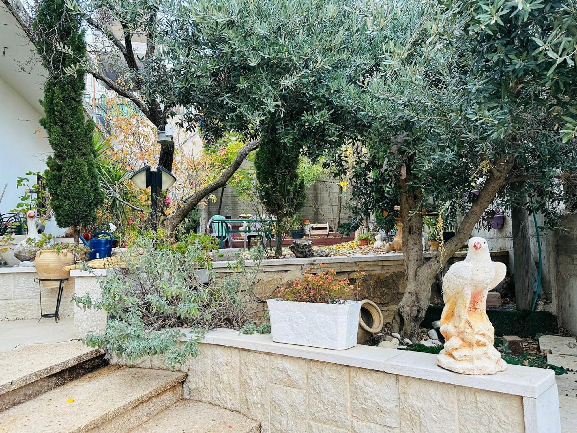 Hermon Accommodation Майдал Шамс Стая снимка