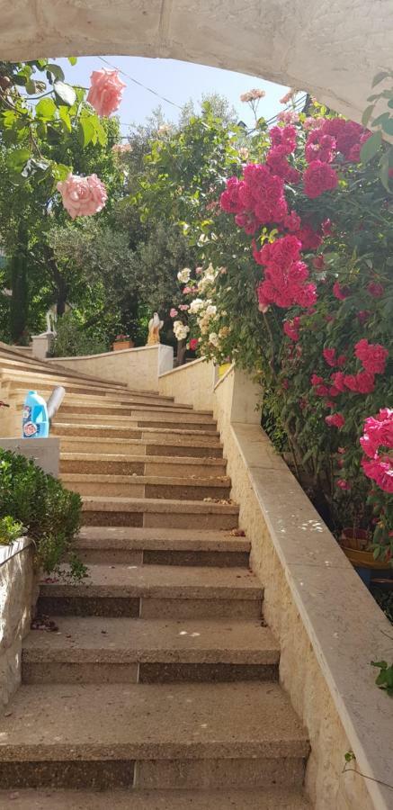 Hermon Accommodation Майдал Шамс Екстериор снимка